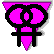 gay venus symbol